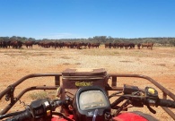  Medwerker Outback Australia 